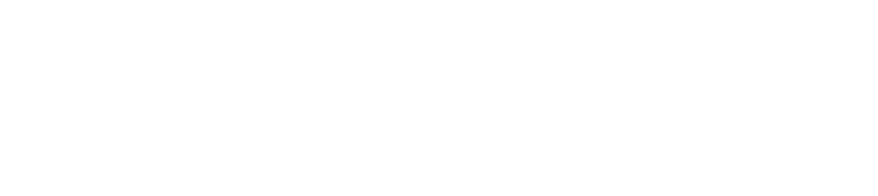 LOGOTIPO HORIZONTAL BLANCO